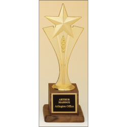 Metal goldtone star riser casting trophy
