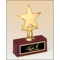 Polished metal goldtone star casting trophy