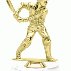 6 Cricket Trophy