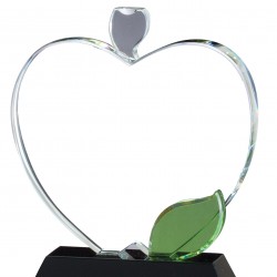 Apple Optical Crystal Award