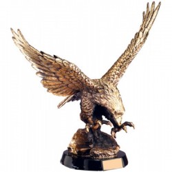 Eagle Award (AE1000)