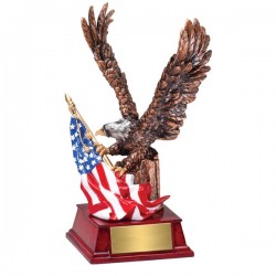 Eagle With Flag (AE302)