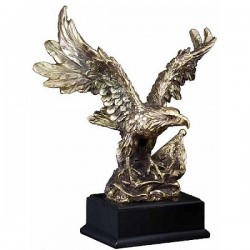 Eagle Award (AE700)