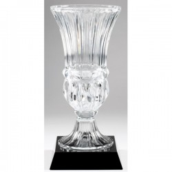 Crystal Cup Trophy 