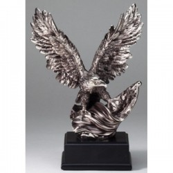 Eagle Award (RFB080)